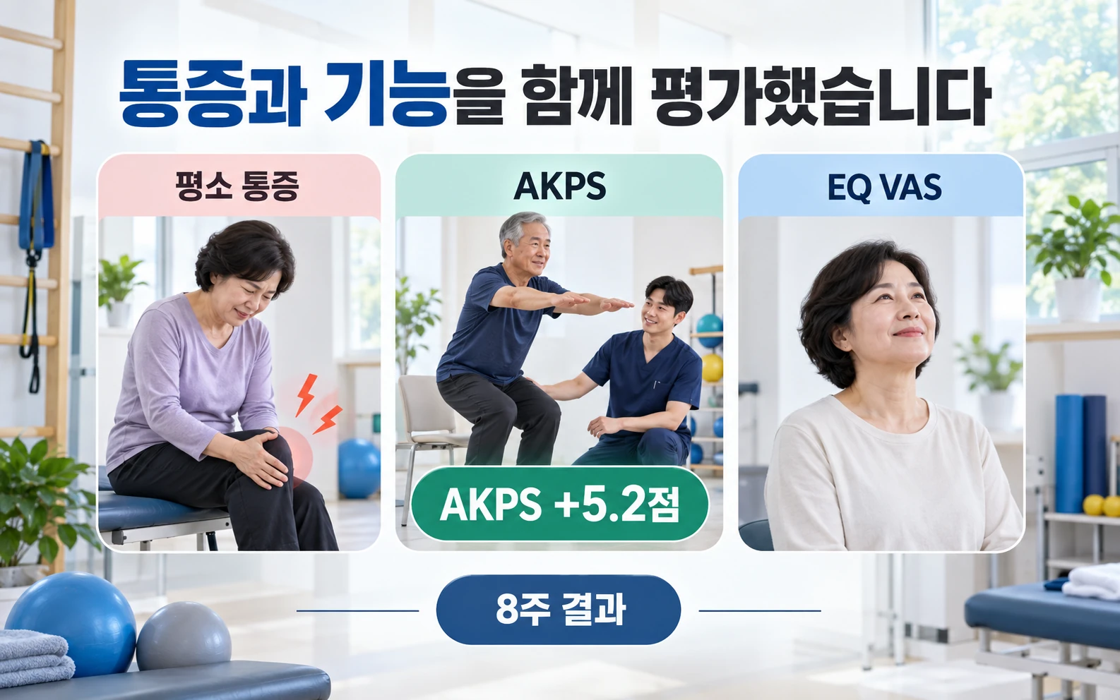 통증과 기능을 함께 평가했습니다