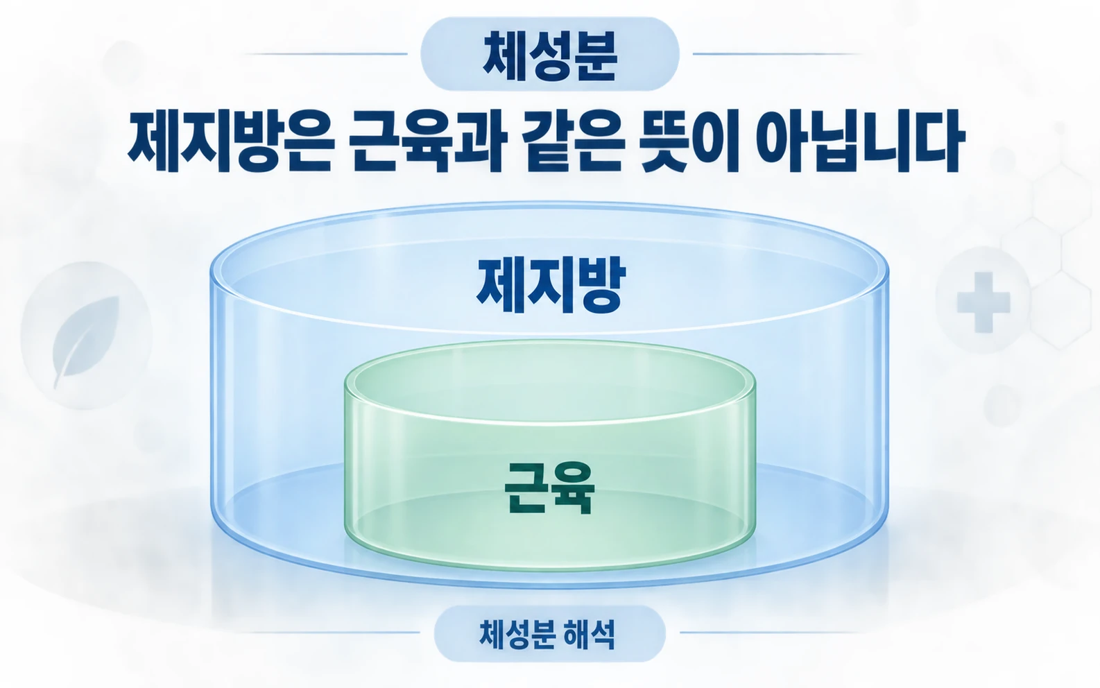 제지방은 근육과 같은 뜻이 아닙니다