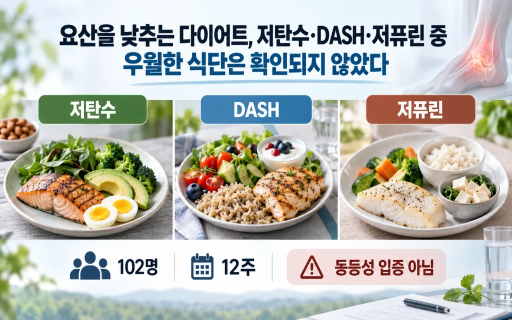 요산을 낮추는 다이어트, 저탄수·DASH·저퓨린 중 우월한 식단은 확인되지 않았다 핵심 요약