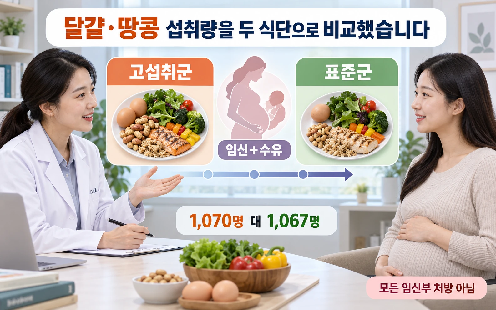 달걀·땅콩 섭취량을 두 식단으로 비교했습니다