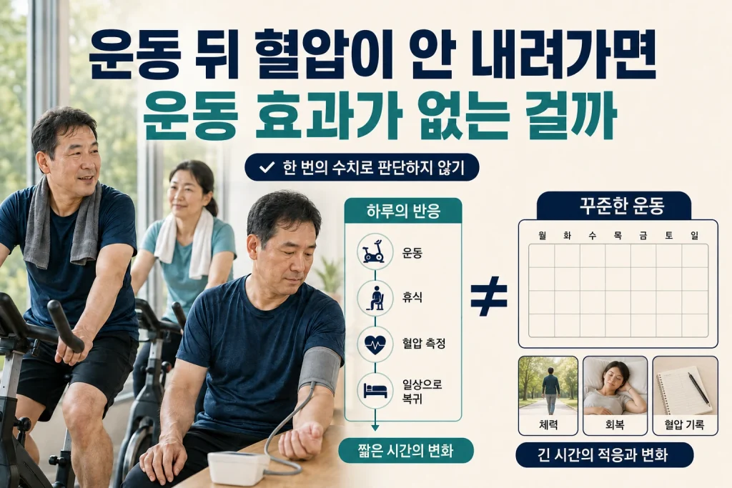 운동 뒤 혈압이 안 내려가면 운동 효과가 없는 걸까의 비교와 판단 기준